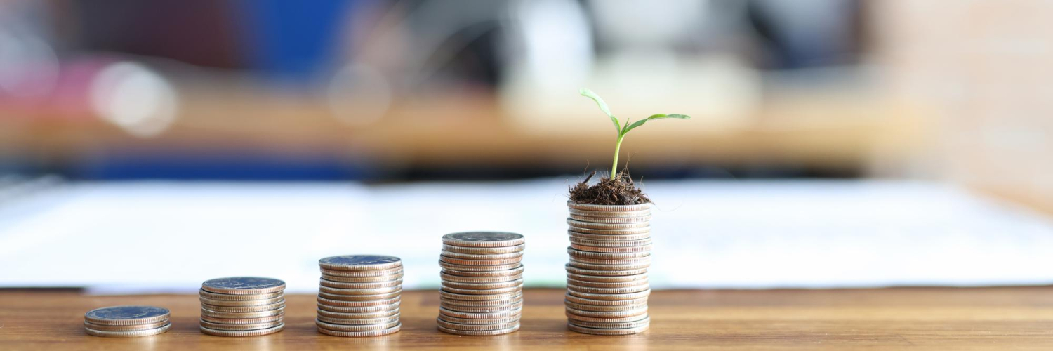 Des pièces sont posées sur la table et représentent le principe d'investissement
